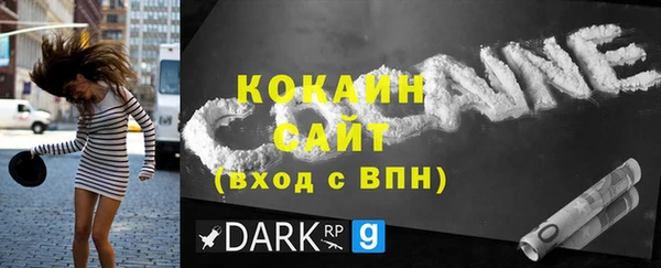 ПСИЛОЦИБИНОВЫЕ ГРИБЫ Новозыбков