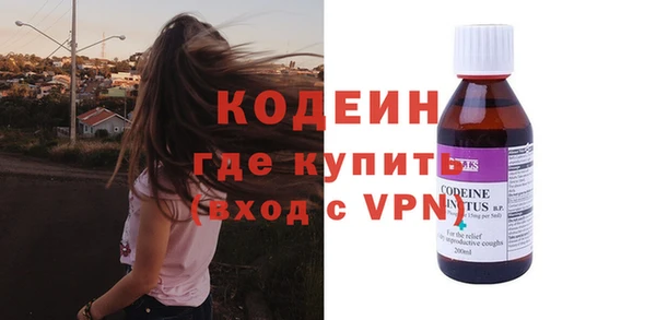 ПСИЛОЦИБИНОВЫЕ ГРИБЫ Новозыбков