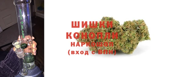 ПСИЛОЦИБИНОВЫЕ ГРИБЫ Новозыбков