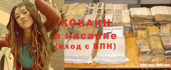 трава Новодвинск