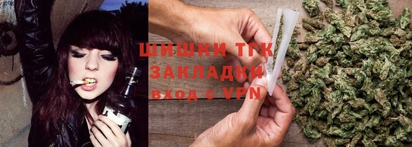 ПСИЛОЦИБИНОВЫЕ ГРИБЫ Новозыбков