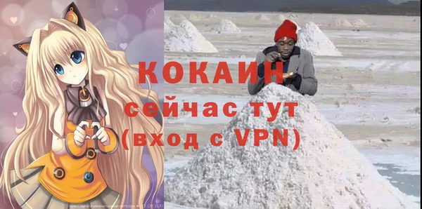 ПСИЛОЦИБИНОВЫЕ ГРИБЫ Новозыбков