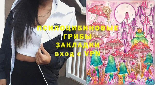 ПСИЛОЦИБИНОВЫЕ ГРИБЫ Новозыбков