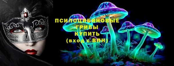 ПСИЛОЦИБИНОВЫЕ ГРИБЫ Новозыбков